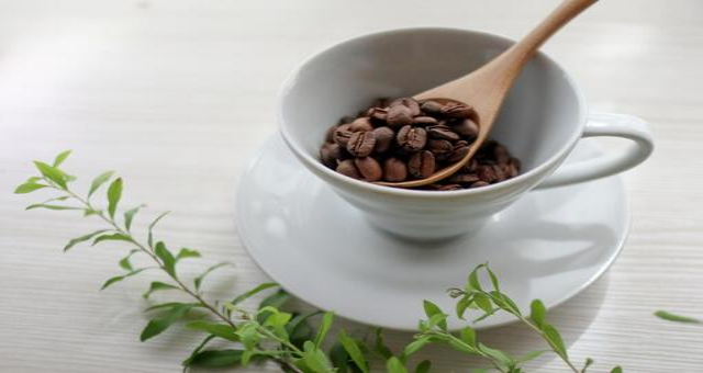 抹茶のカフェインの含有量を比較 妊娠中に飲めるカフェインレスは