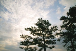 a0003_ki_0219