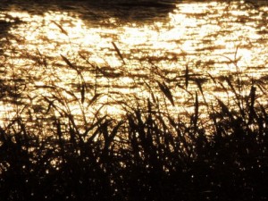 a0960_005200