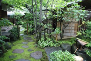 SONY DSC