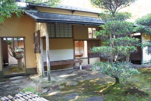 large-5567d1fb159c2[1]