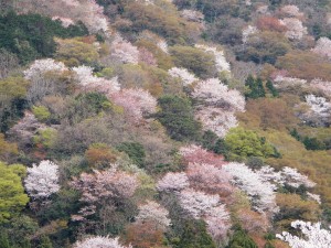 img_0