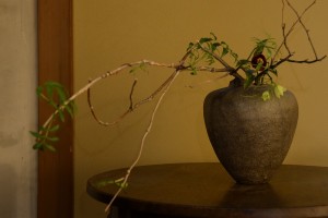 DSC_1500